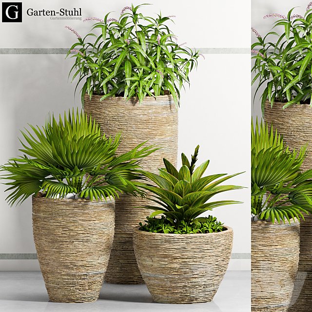 PLANT -37