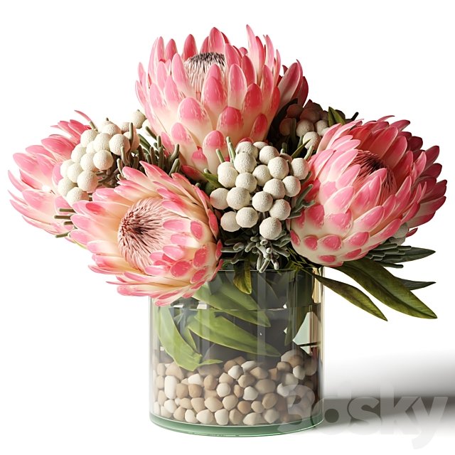 Bouquet of pink proteas with balls