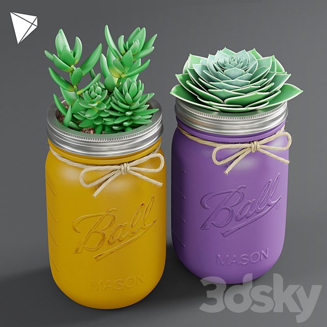 Pot Ball Mason Jar Succulent