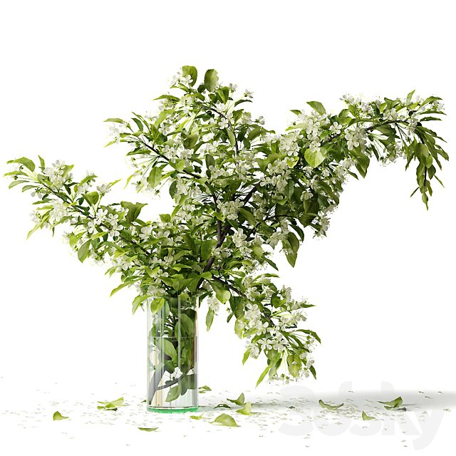 Bouquet blooming branch, spring flowers in a glass vase