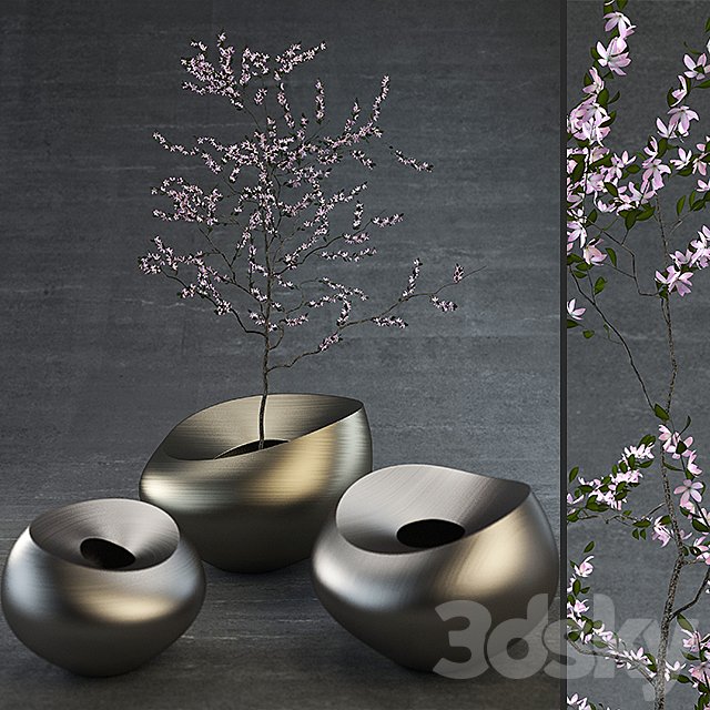 Decorative Vases