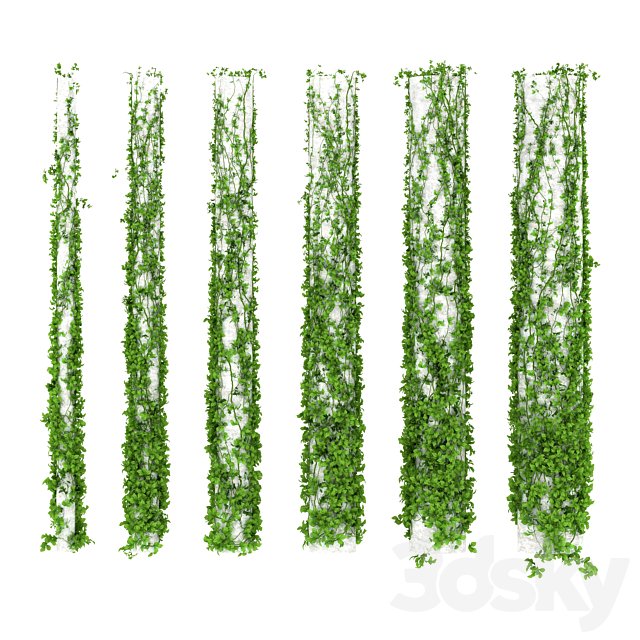 Leaves for columns. 6 sizes