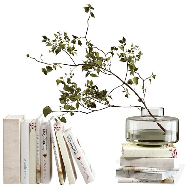 Decorative set with books