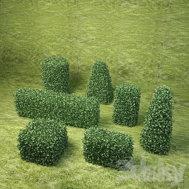 Bushes the second pack