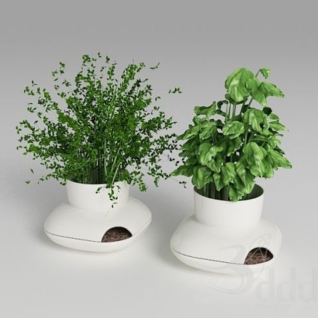 Herbs Sagaform