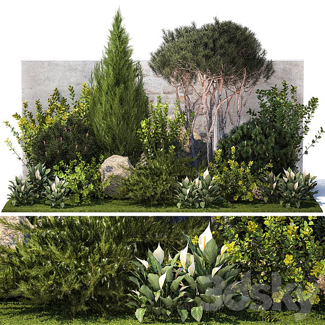 Collection of garden plants with bushes and trees for landscape design with Juniper, Barberry, thuja, cypress, bonsai pine, topiary. Set 1397.