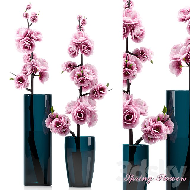 SPRING FLOWERS