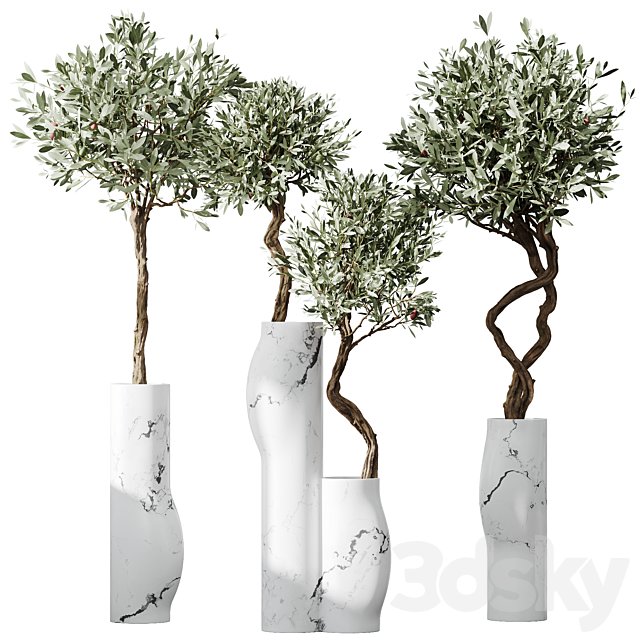HQ Plants Mission Olive Tree Indoor Vase Set003