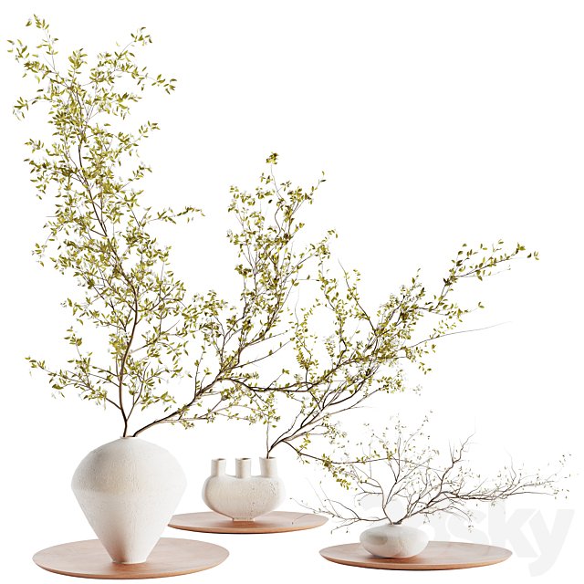plants collection set 5