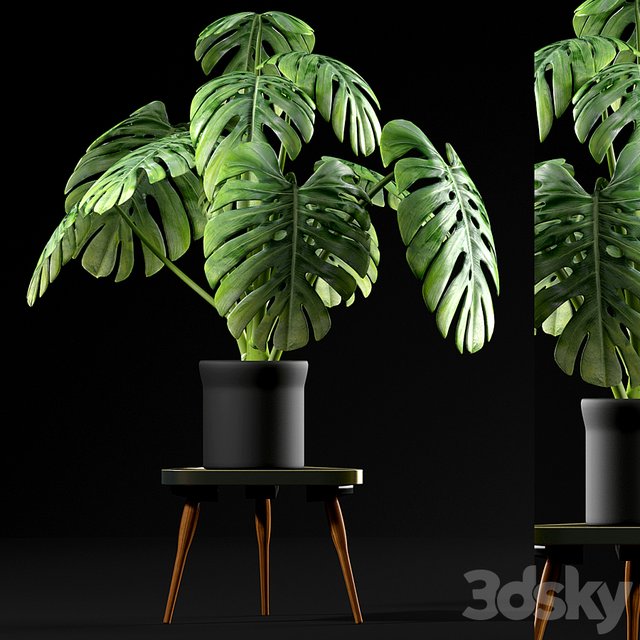 3D Model 569805.57640e14cf3de