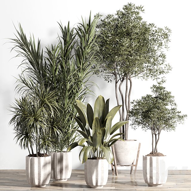 indoor plant - set 60