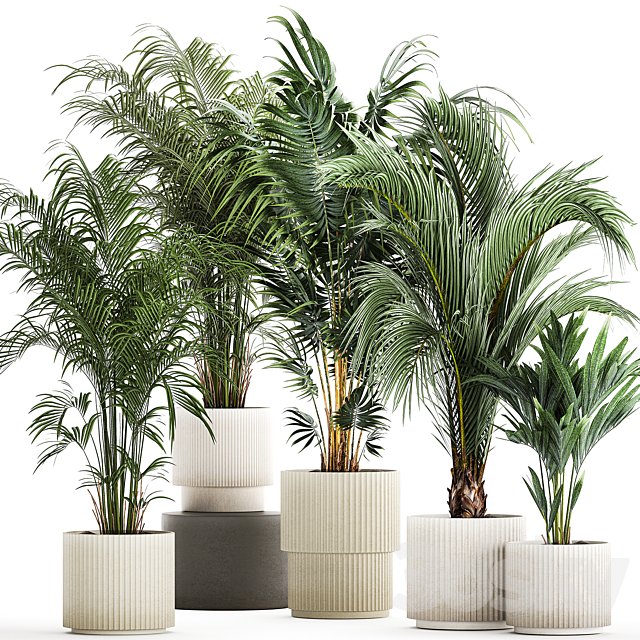 Plant collection 1408