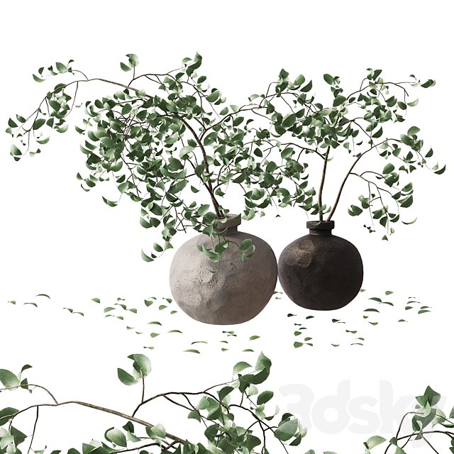 branches in a vase