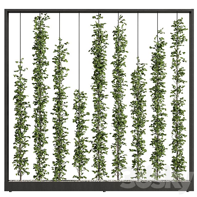 Green Wall - Plants partition 06