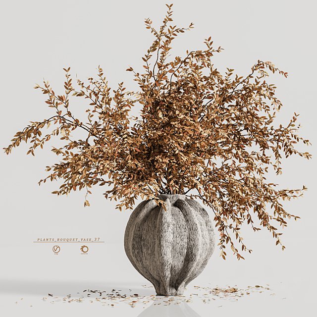 plants bouquet vase 37