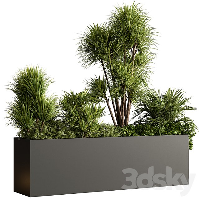 Plant Box - Outdoor Plants 580