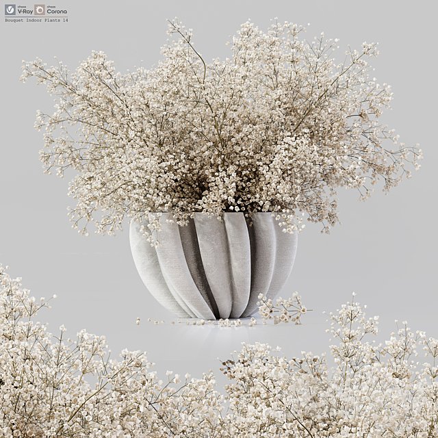 Bouquet Indoor Plants 14