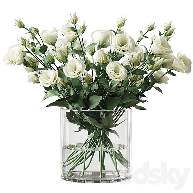 Eustoma 2