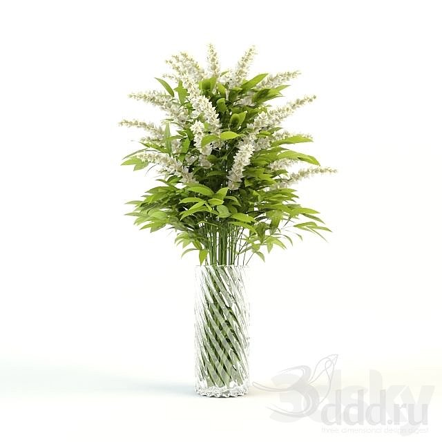 Flower in a vase