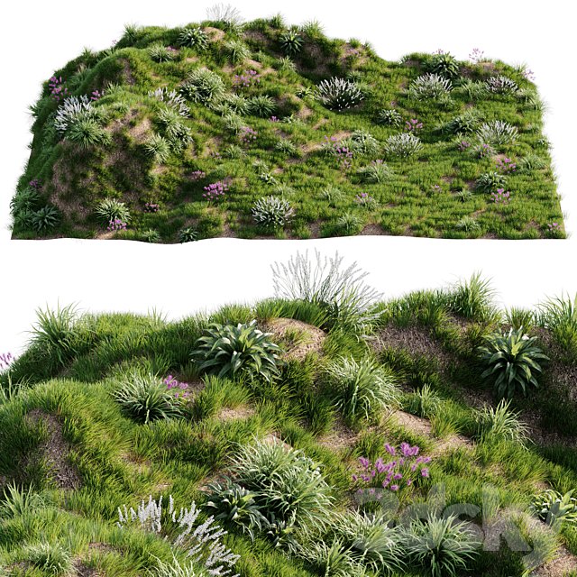 Grass on the slope