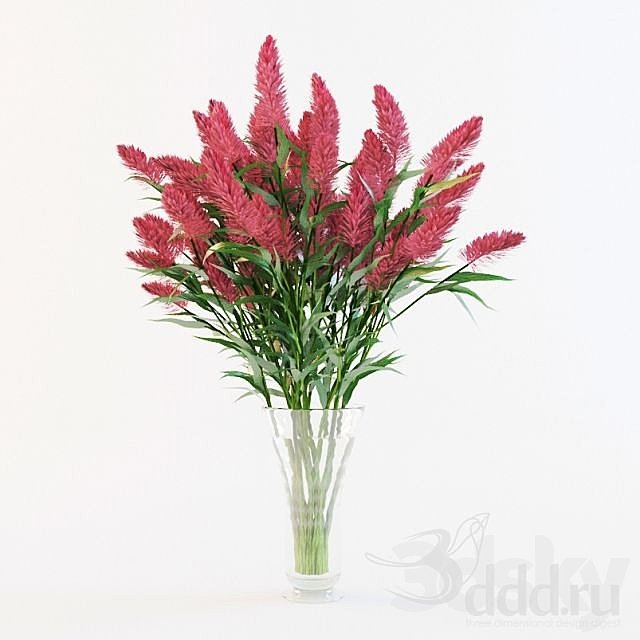 Red flower