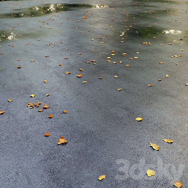 Wet asphalt with leaves. Autumn. Editable