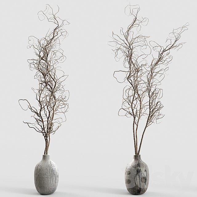 Branches in vases 30