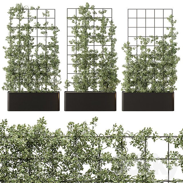 Vertical Garden Partiton - Set 101