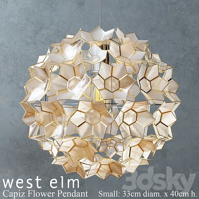 West elm - Capiz Flower Pendant