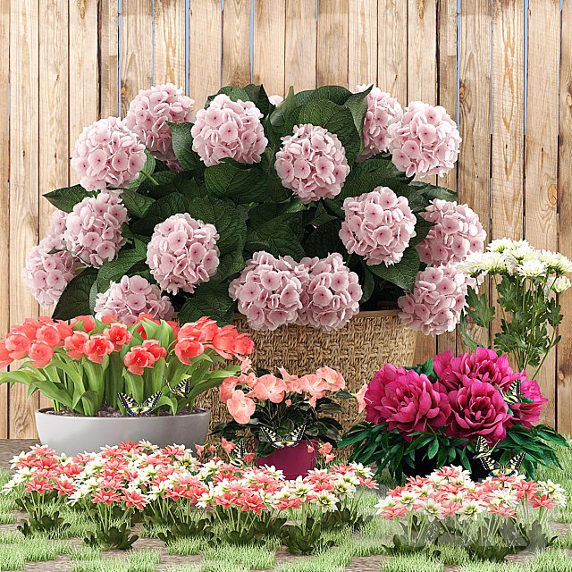 Flower beds