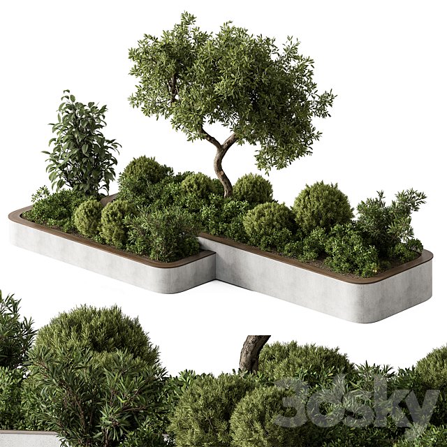 Plant Box - Outdoor Plants 588