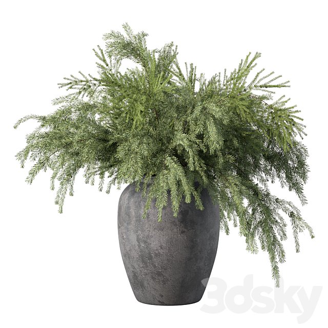 Bouquet Pine Branches Set.27