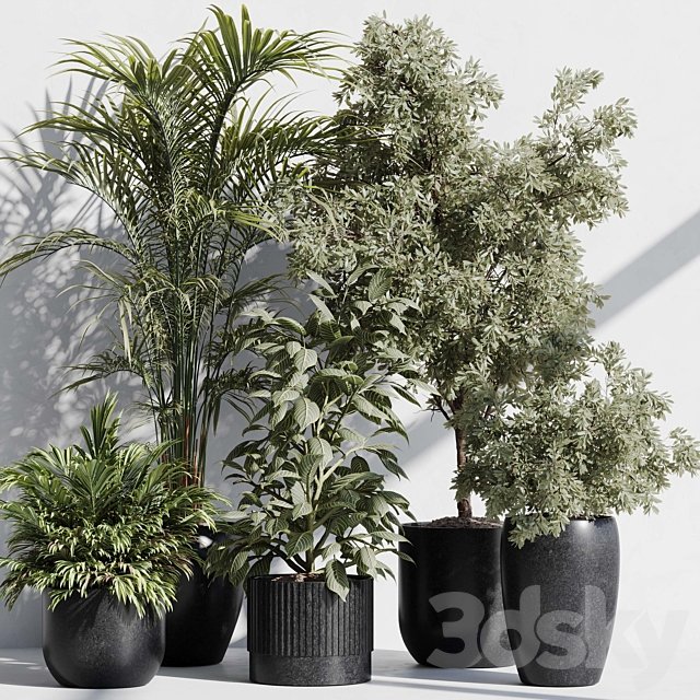 indoor plant set 85