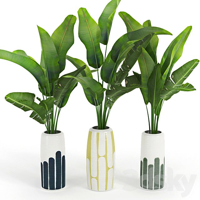 Banana Palm Striped Tall Vase
