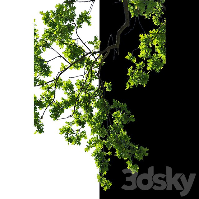 Cut out trees