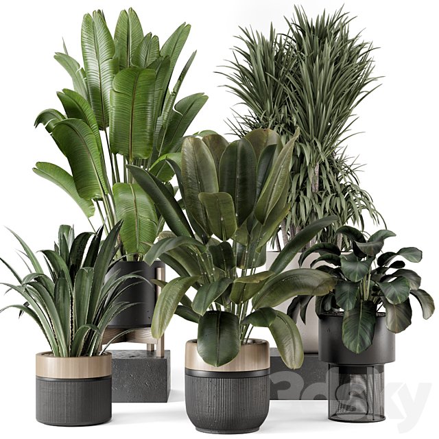 Indoor Plants in Ferm Living Bau Pot Large - Set 1947