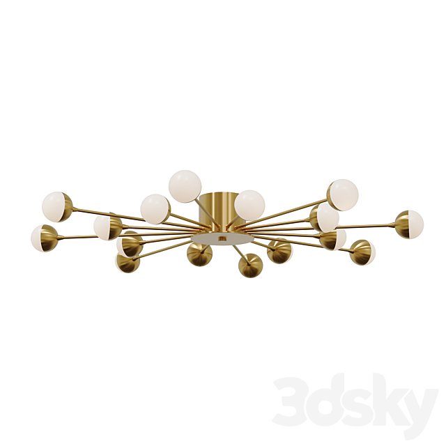 Celebrity Ceiling Light