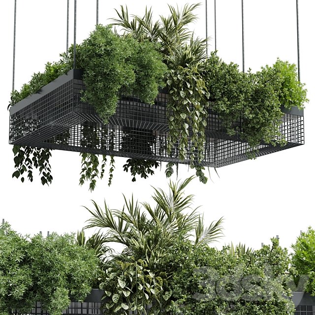 hanging plants - indoor plant set 447 Rectangle pendant pot vray