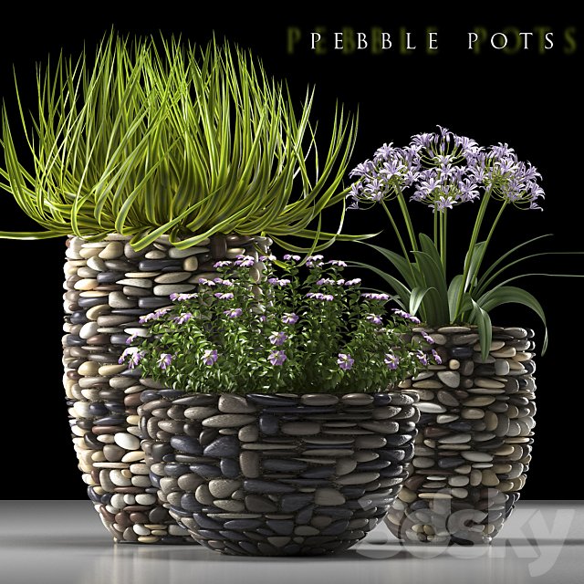 PLANTS 57