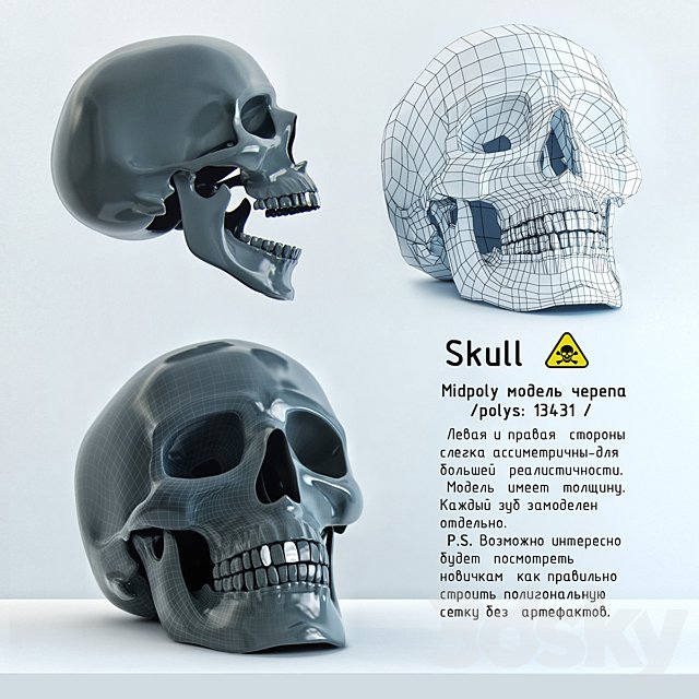 Skull