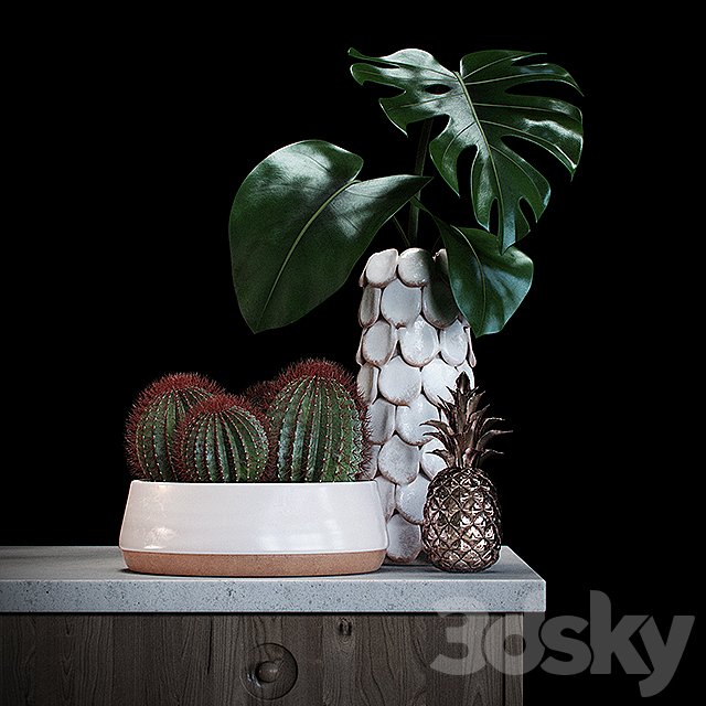 Set decoration with red cactus