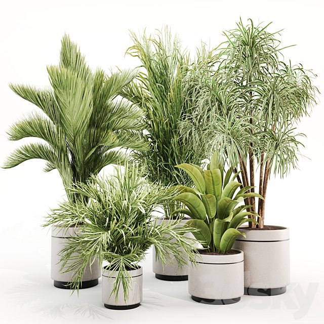 IndoorPlantSet015