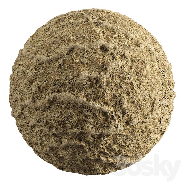 Grass-008
