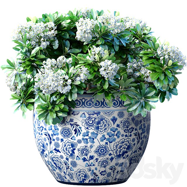 Bouquet of white flowers in a potted vase for decoration