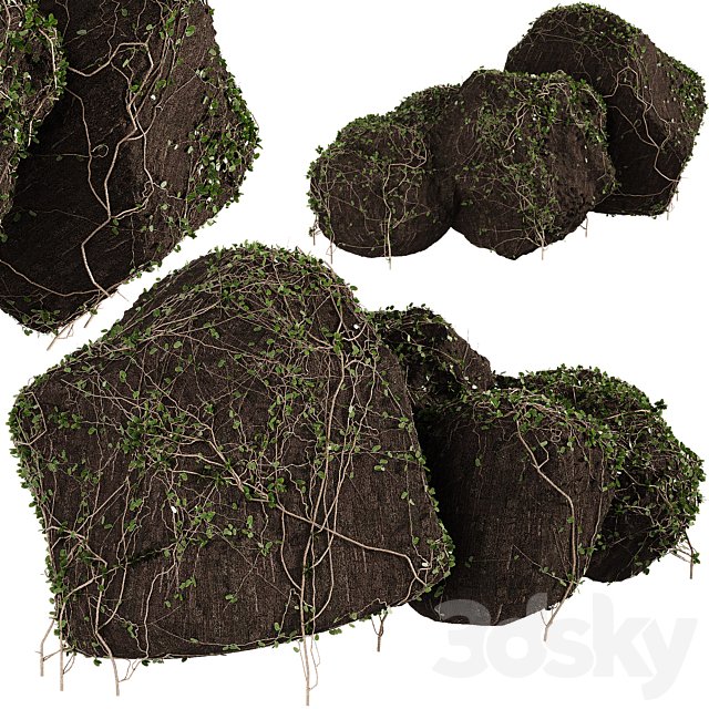 Ivy on stones 01