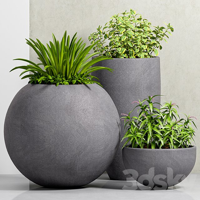 PLANT-39