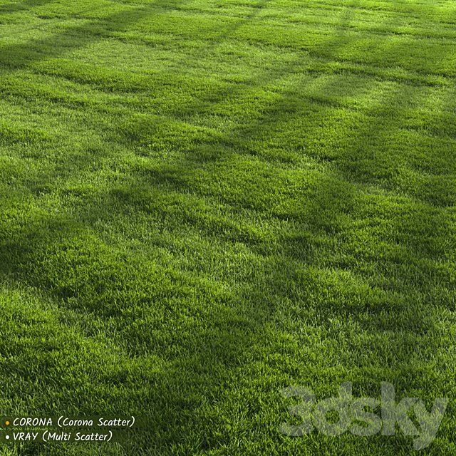 Garden Lawn