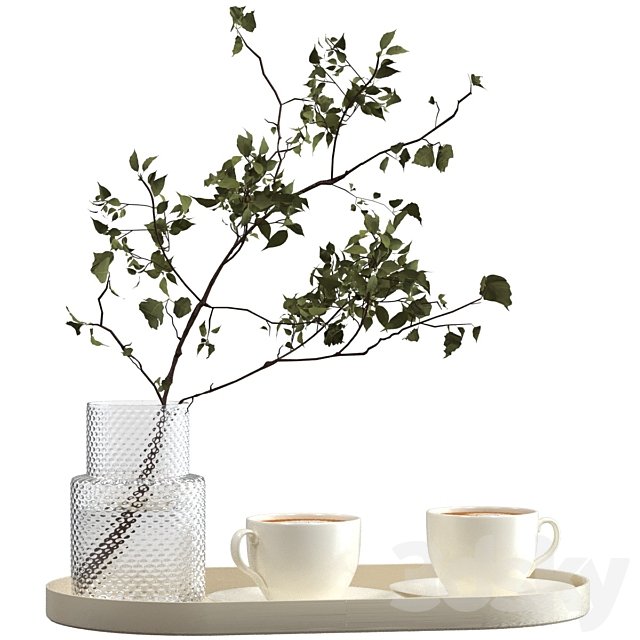 Two cups of cappuccino on a tray