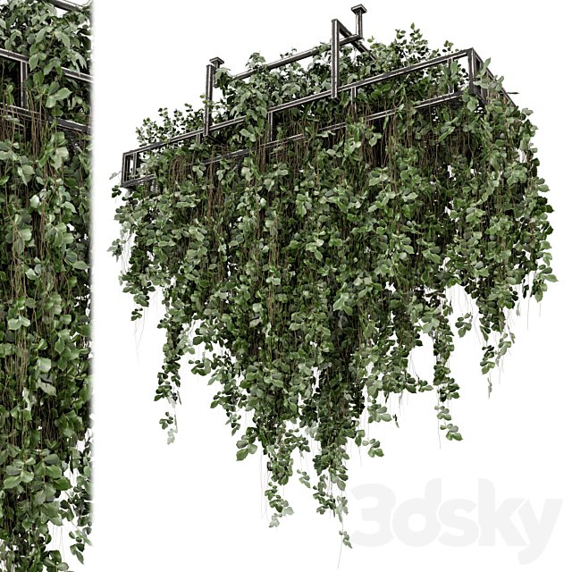 Indoor Hanging Plants in Metal Box - Set 2009