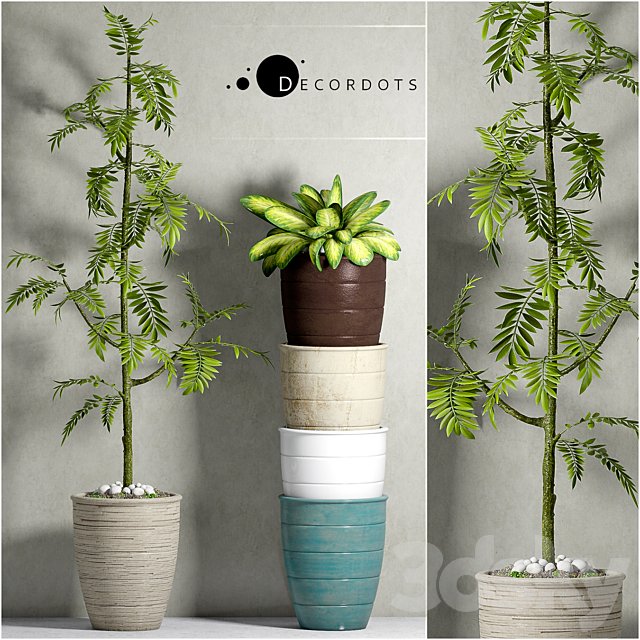 PLANT-41